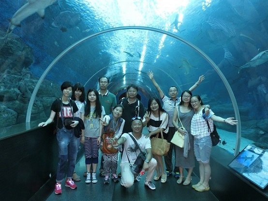 名胜世界的海洋馆2（SEA Aquarium）