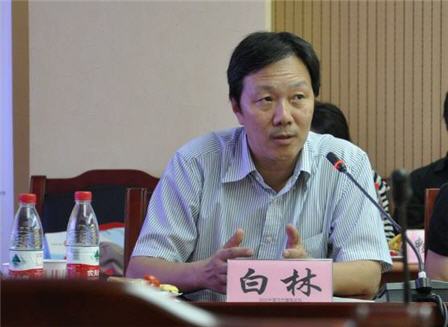 北京白林建筑设计咨询有限公司创始人白林