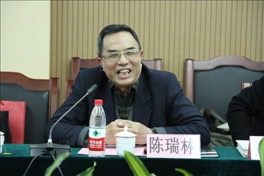 清华大学美术学院教授陈瑞林发言